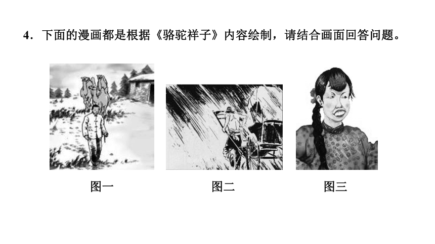 第三单元名著导读 《骆驼祥子》 讲练课件(共23张PPT)