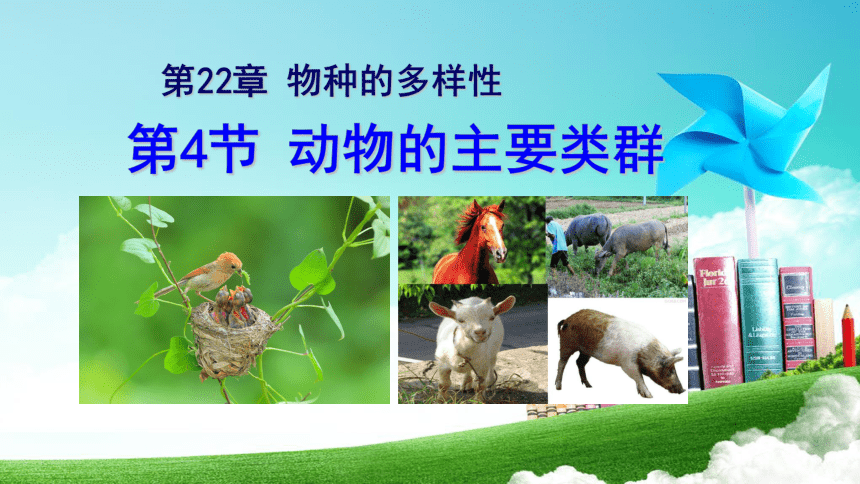 22.4 动物的主要类群（第4课时）2022-2023学年八年级下册生物同步精品课件（北师大版）(共19张PPT)