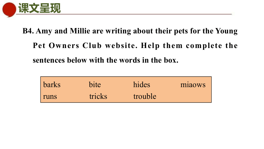 初中英语牛津译林版七年级下册同步课件：Unit 8 Pets  Period 2 Reading (共44张PPT)