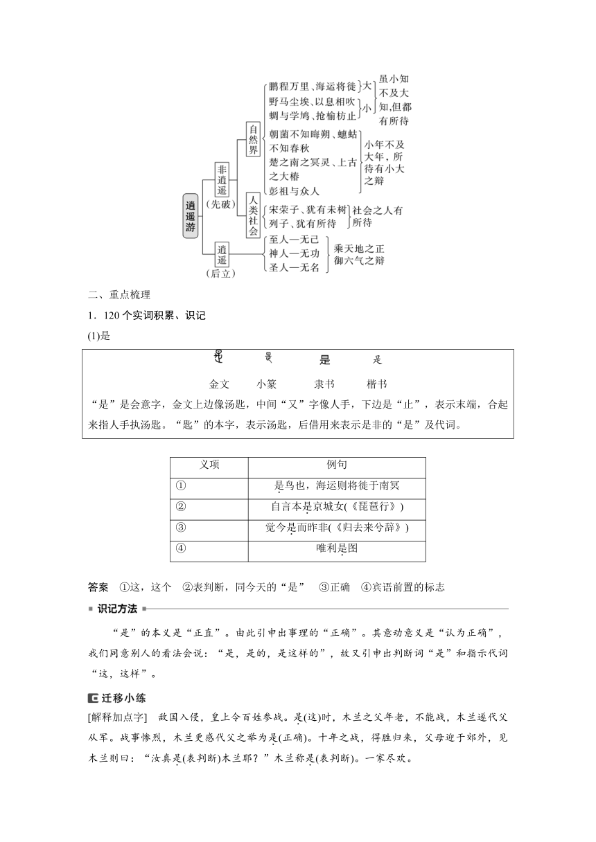 2024届高考一轮语文学案（宁陕蒙青川）必修5（二）单篇梳理 基础积累课文3 逍遥游（含答案）