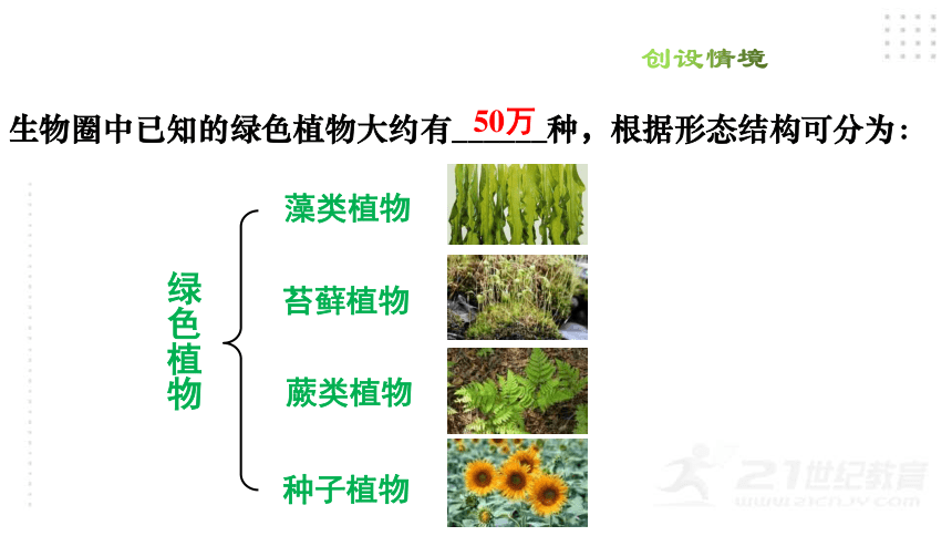 人教版七年级生物上册3.1.1 藻类、苔藓和蕨类植物课件（35张PPT)