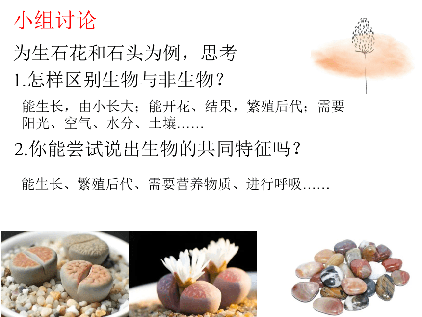 初中生物人教版七年级上册1.1.1生物的特征 课件（供32页PPT）