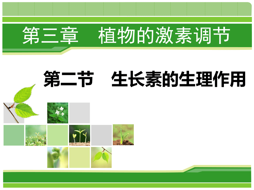 2020-2021学年高二生物人教版必修三3.2生长素的生理作用课件（29张ppt）