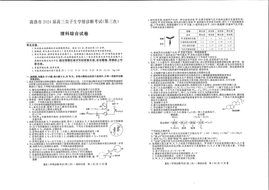 2024届陕西省商洛市高三下学期尖子生学情诊断考试理综试题（第三次）（PDF版含答案）