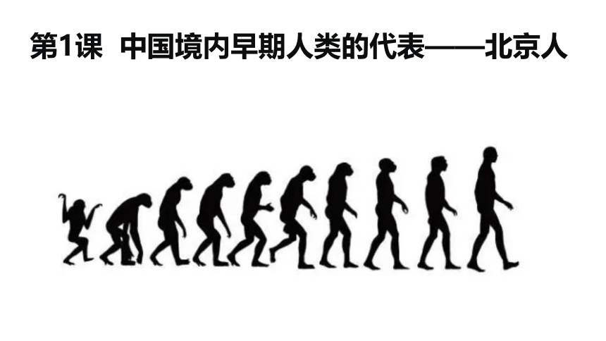 第1课中国境内早期人类的代表——北京人  课件（27张PPT）