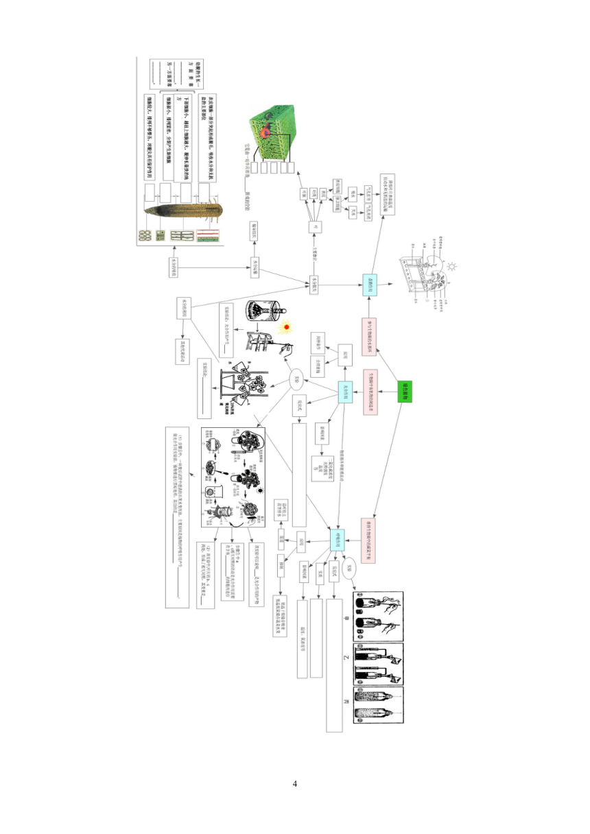 2021年北京市中考生物试题植物的三大作用分类汇编 (word版含答案）