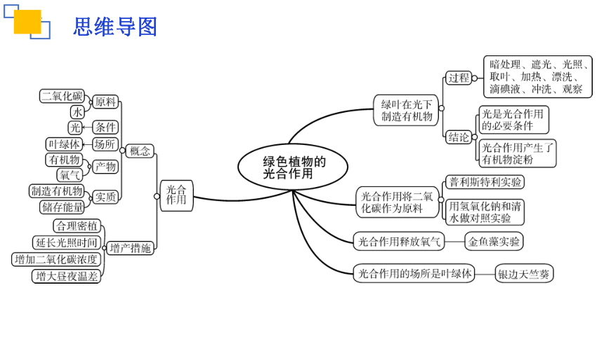 专题07 绿色植物的光合作用课件(共18张PPT)2023年中考生物复习