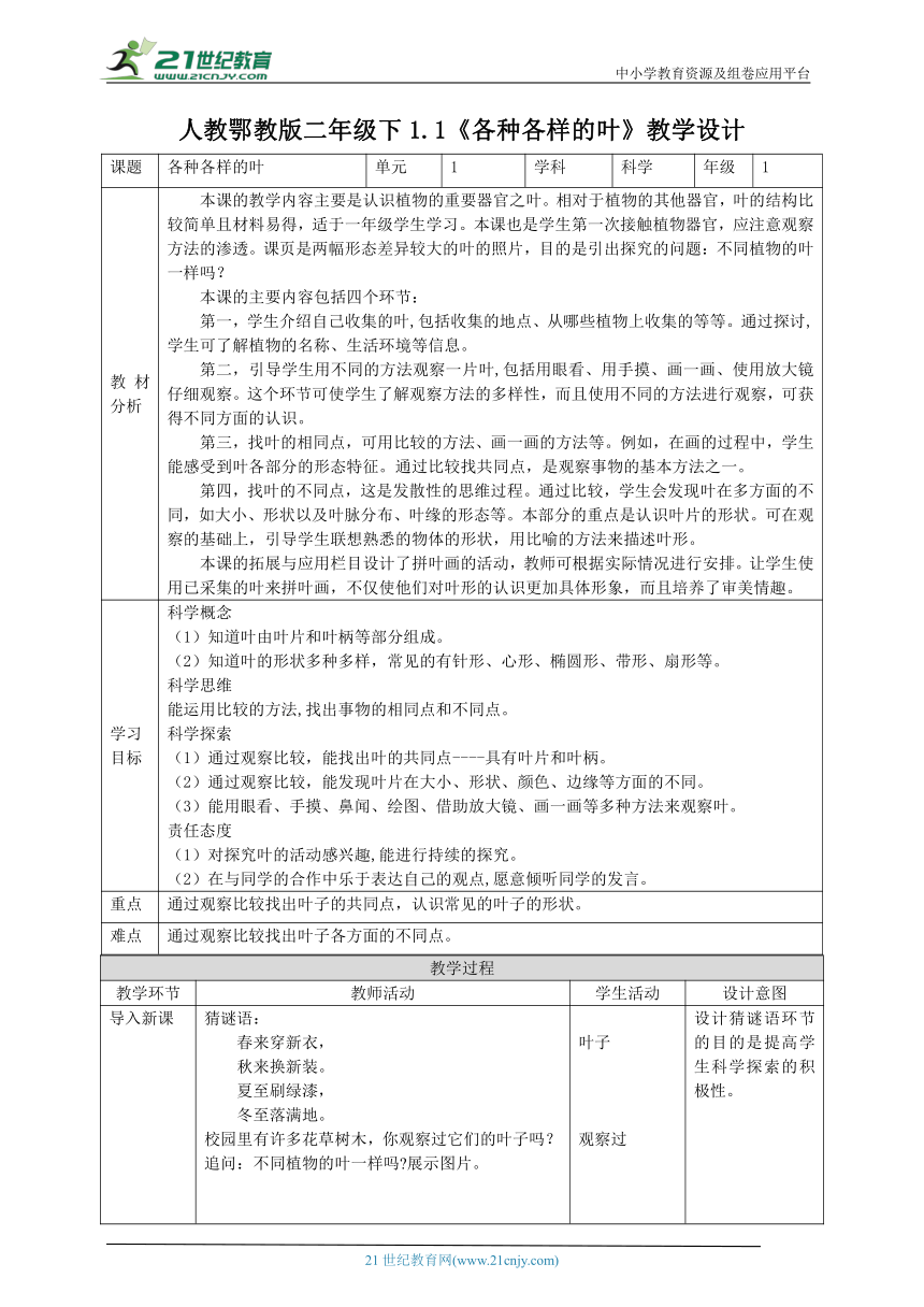 【核心素养目标】1.1《各种各样的叶》教案