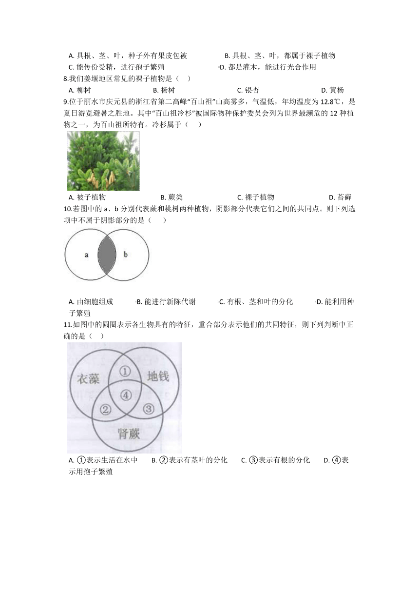 2.5常见的植物 同步练习（含解析）