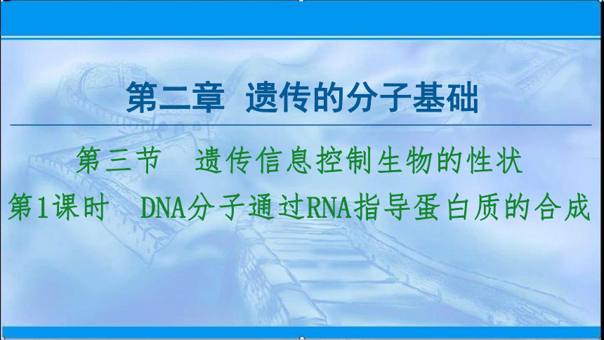 2020-2021学年苏教版（2019）高中生物： 必修2 第2章 第3节 第1课时 DNA分子通过RNA指导蛋白质的合成 课件 （62张）