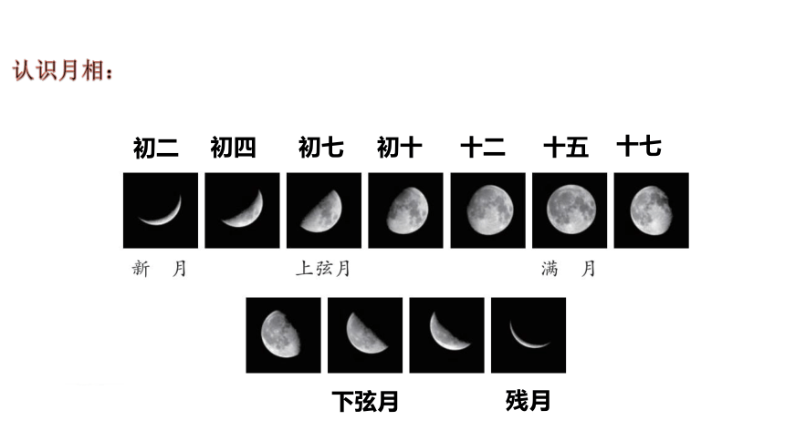 青岛版（六三制2017秋）四年级下册3.12.月相的变化 (课件14张PPT)