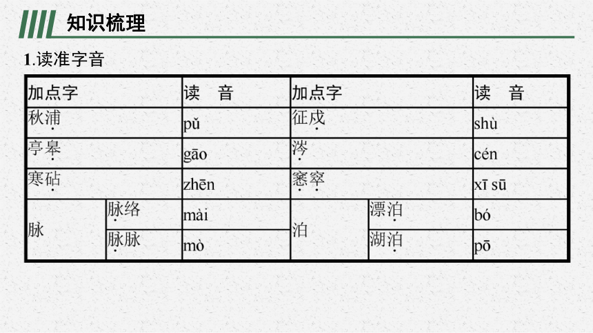 9　说“木叶”课件(共46张PPT)部编版必修下册