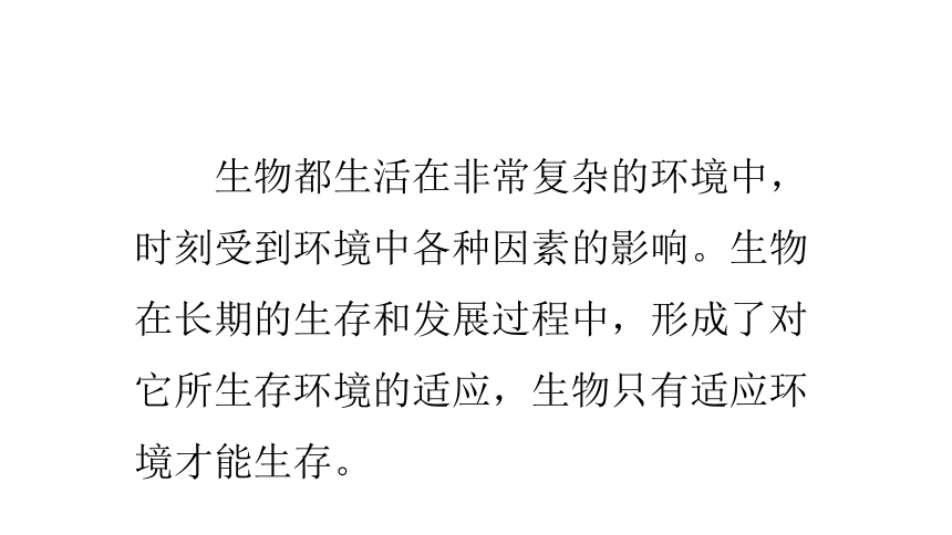 2021-2022学年苏科版七年级生物上册2.2.4生物对环境的适应  课件(共71张PPT)