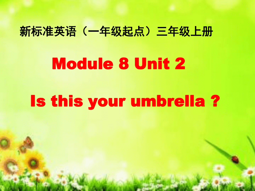 Module 8 Unit 2 Is your grandma's umbrella课件（25张PPT）
