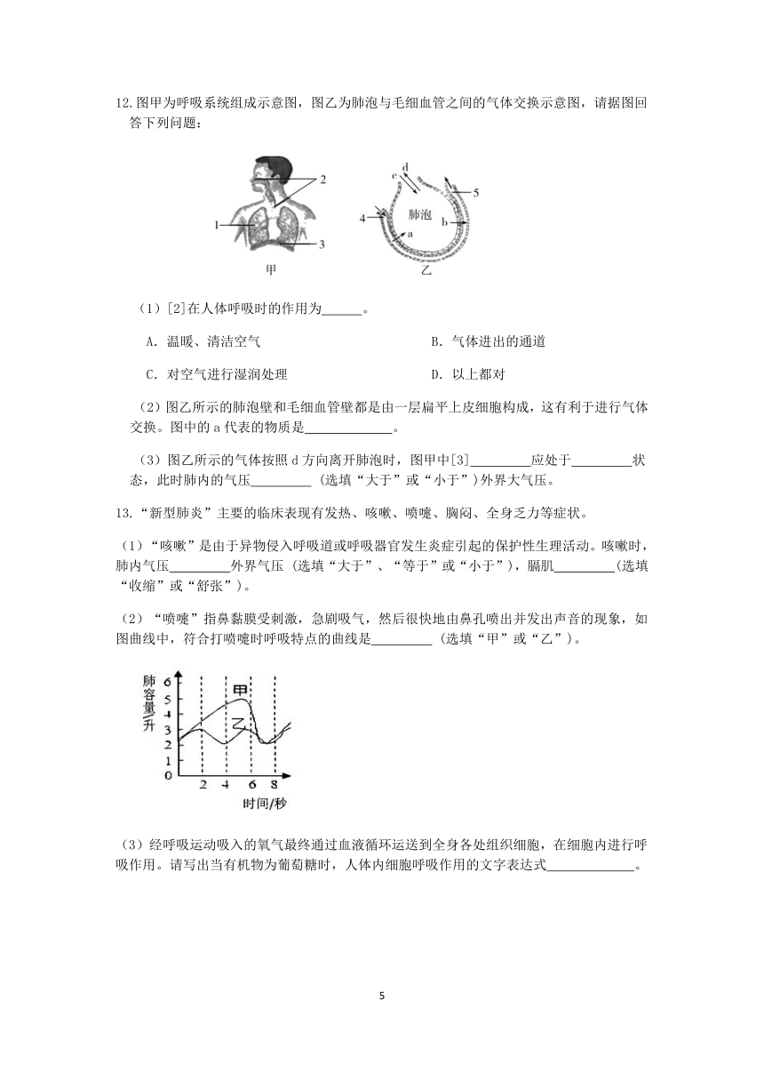 浙教版八年级科学2022-2023学年第二学期期末复习专题训练（六）：呼吸作用【word，含解析】