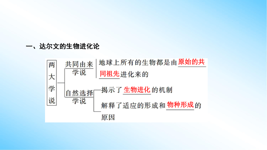 【课件版学案】6-1 生物有共同祖先的证据&6-2 自然选择与适应的形成  人教版2019必修2(共43张PPT)