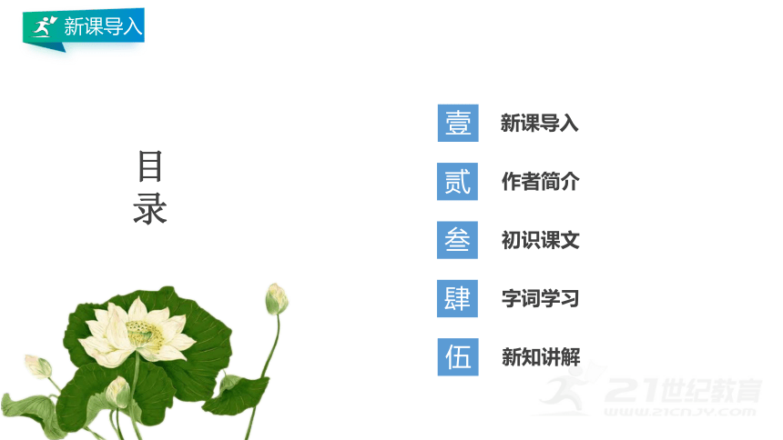 14、蜜蜂 第一课时 课件（共28张PPT）