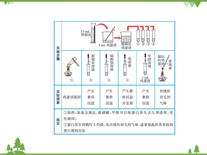 鲁教版九年级化学下册 第十单元 第三节  远离有毒物质 课件(共20张PPT)