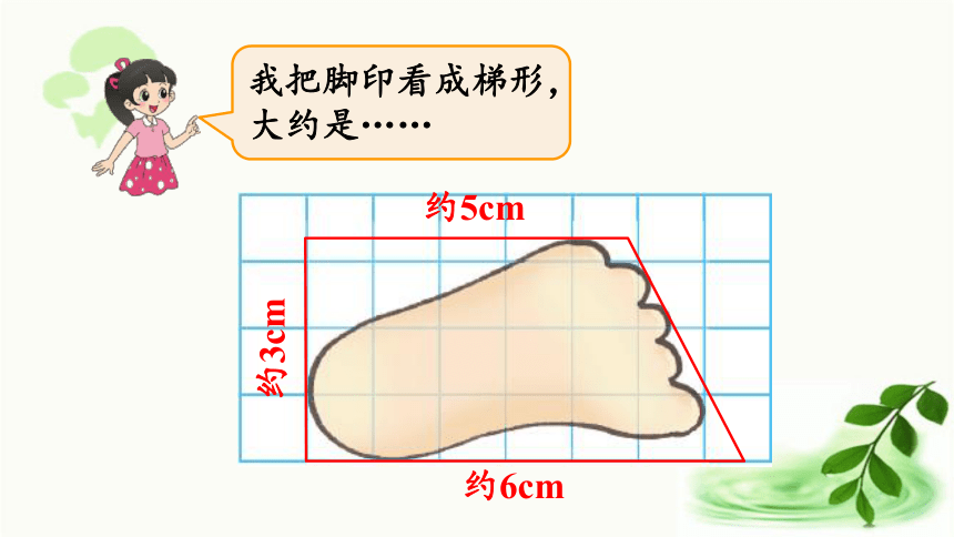 北师大版数学五年级上册6.2 探索活动：成长的脚印 课件（18张ppt)