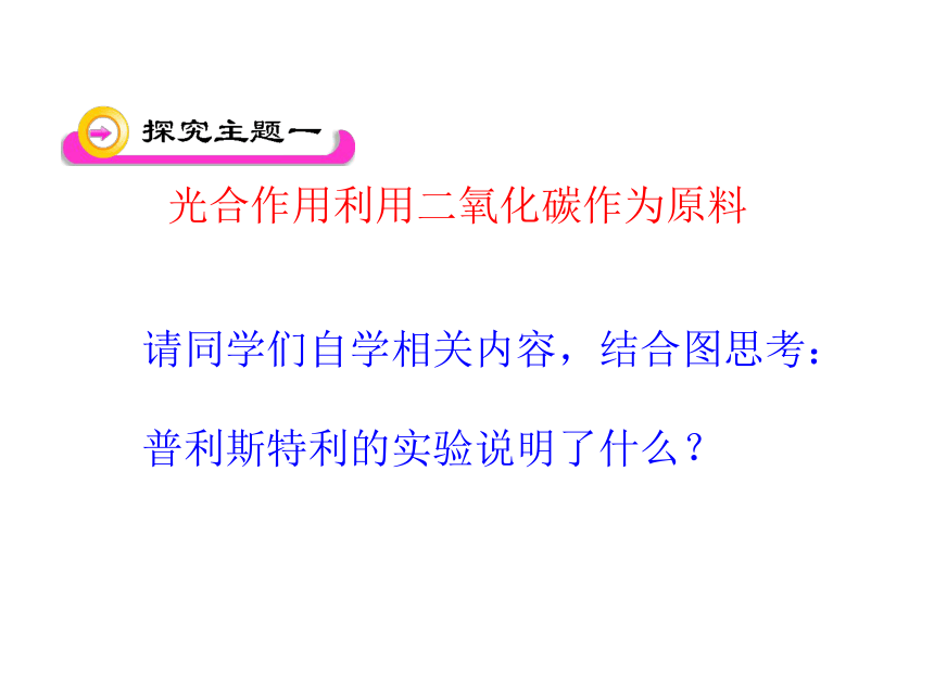 初中生物人教版七上：第3单元 第5章 第1节 光合作用吸收二氧化碳释放氧气 课件（共19张PPT）