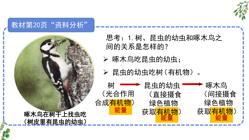 人教版2022年1.2.2  生物与环境组成生态系统 （共2课时，28页）