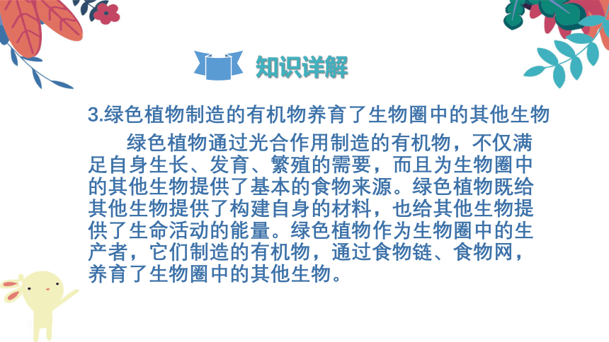 2021-2022学年初中生物人教版七年级上册 3.4绿色植物是生物圈中有机物的制造者  复习课件(共24张PPT)