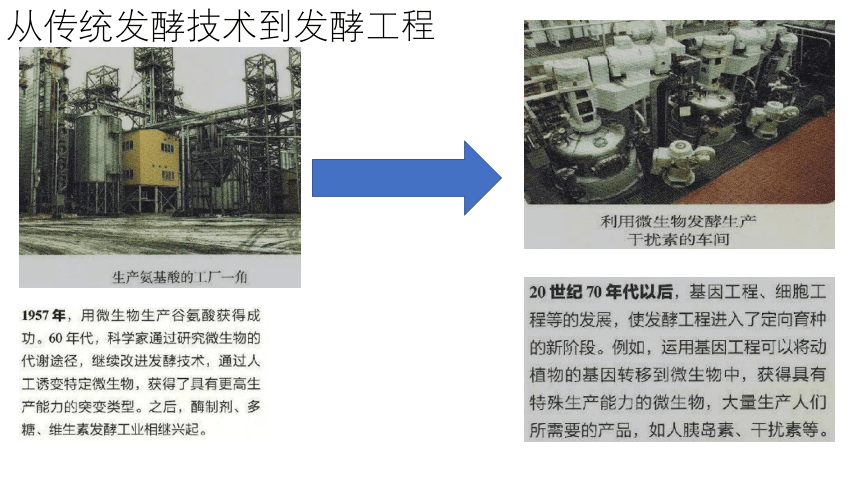 2020-2021学年人教版（2019）高二生物选择性必修三1.1 传统发酵技术的应用 课件 （共31张ppt）