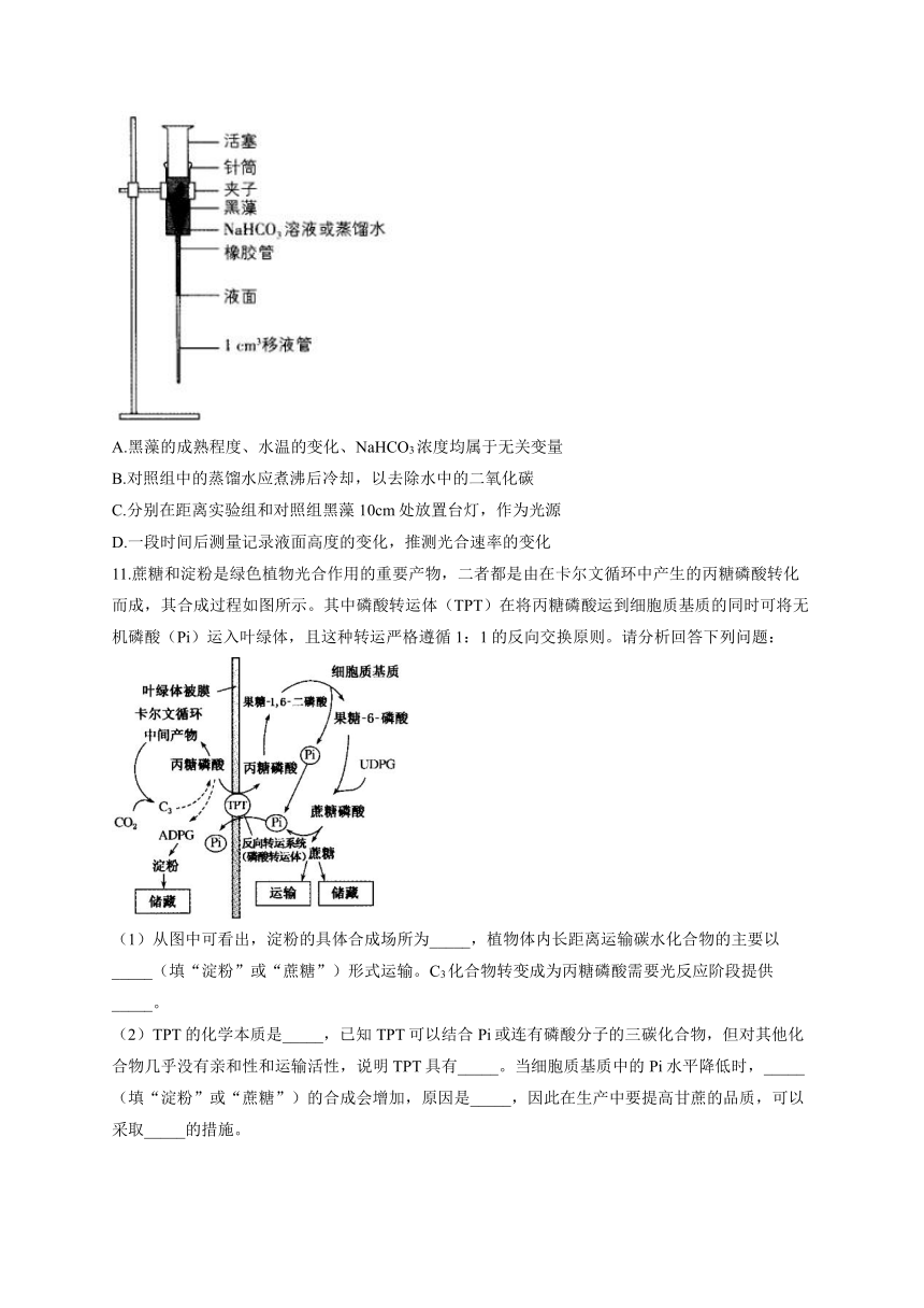 细胞代谢——暑假作业（含解析）2022-2023学年高二生物人教版（2019）