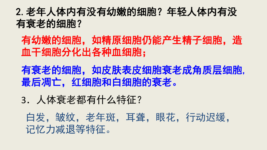 生物人教版（2019）必修1 6.3细胞的衰老和死亡（共27张ppt)
