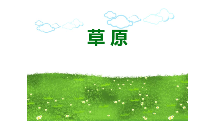 1《草原》课件(共18张PPT)