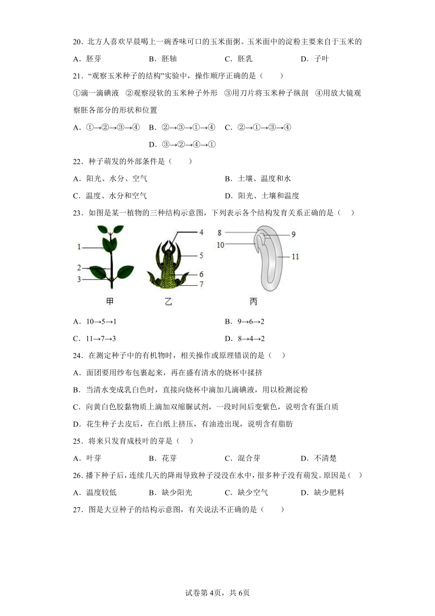 3.1种子的萌发和芽的发育 选择题 专练 （含答案） 冀教版 八年级生物上册