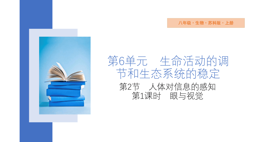 6.16.2 第1课时 眼与视觉 课件 (共22张PPT)2023-2024学年苏科版生物八年级上册