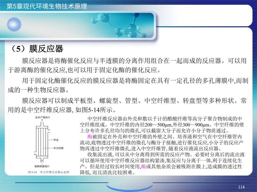 5.现代环境生物技术原理_4 课件(共35张PPT）- 《环境生物化学》同步教学（机工版·2020）