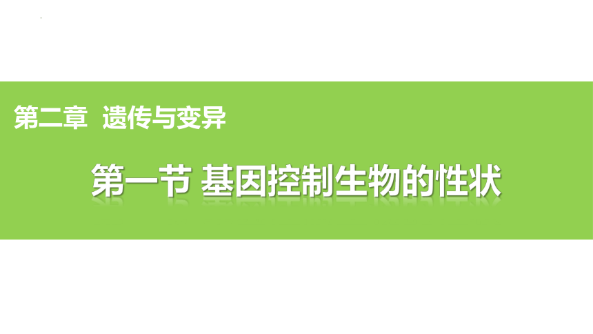 7.2.1  基因控制生物的性状  课件(共27张PPT)2022-2023学年人教版生物八年级下册