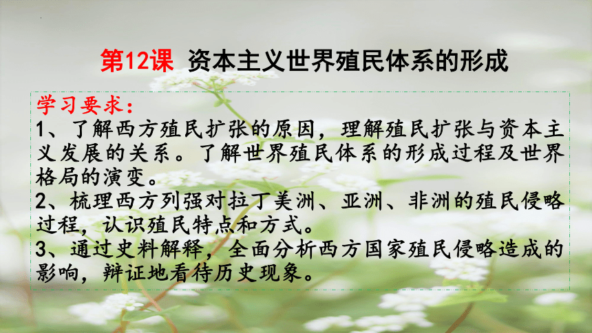 第12课 资本主义世界殖民体系的形成2022-2023学年高一历史下学期助力历史教学精品课件（中外历史纲要下）(共39张PPT)