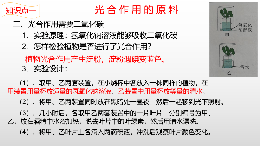 2022-2023学年七年级生物上学期3.5.1 光合作用吸收二氧化碳释放氧气-同步优质课件(共22张PPT)