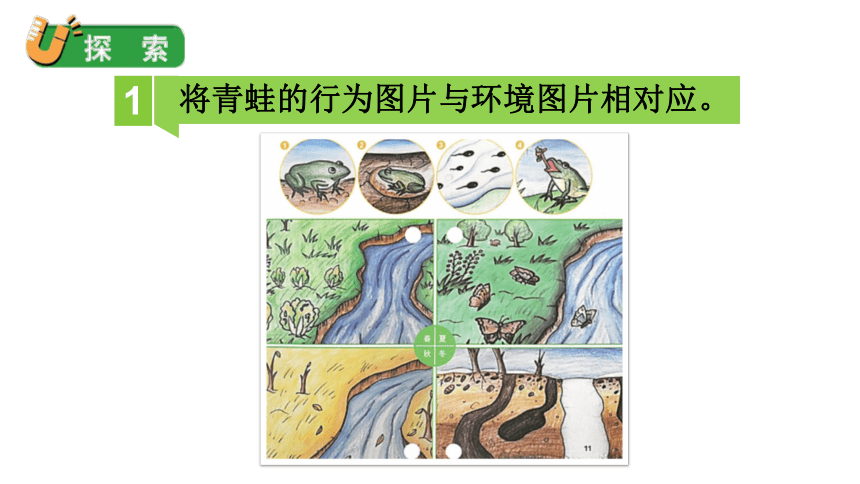 2023春教科版五年级科学下册1.5 当环境改变了 课件（21张PPT）