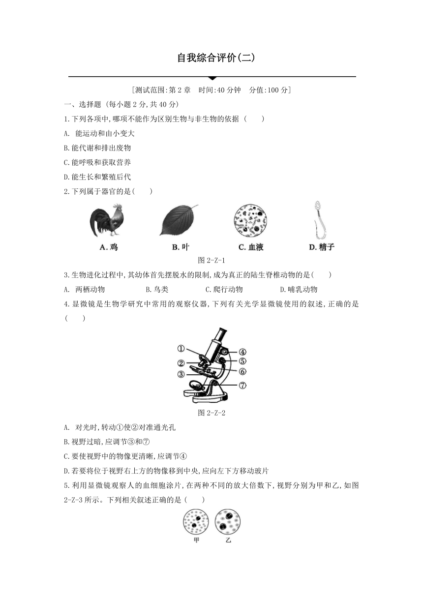 第2章 观察生物 自我综合评价（含答案）