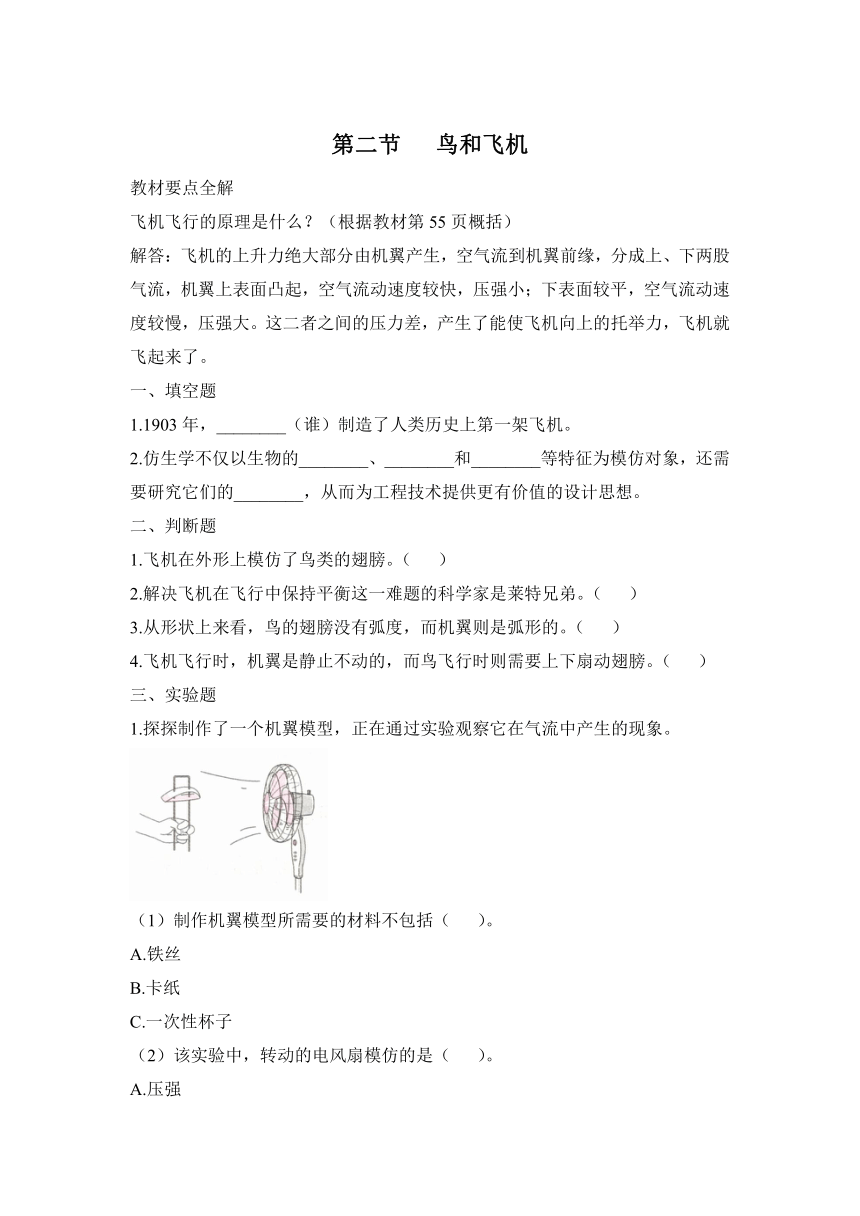 科学大象版（2017秋）五年级下册5.2 鸟和飞机 同步作业（含答案）