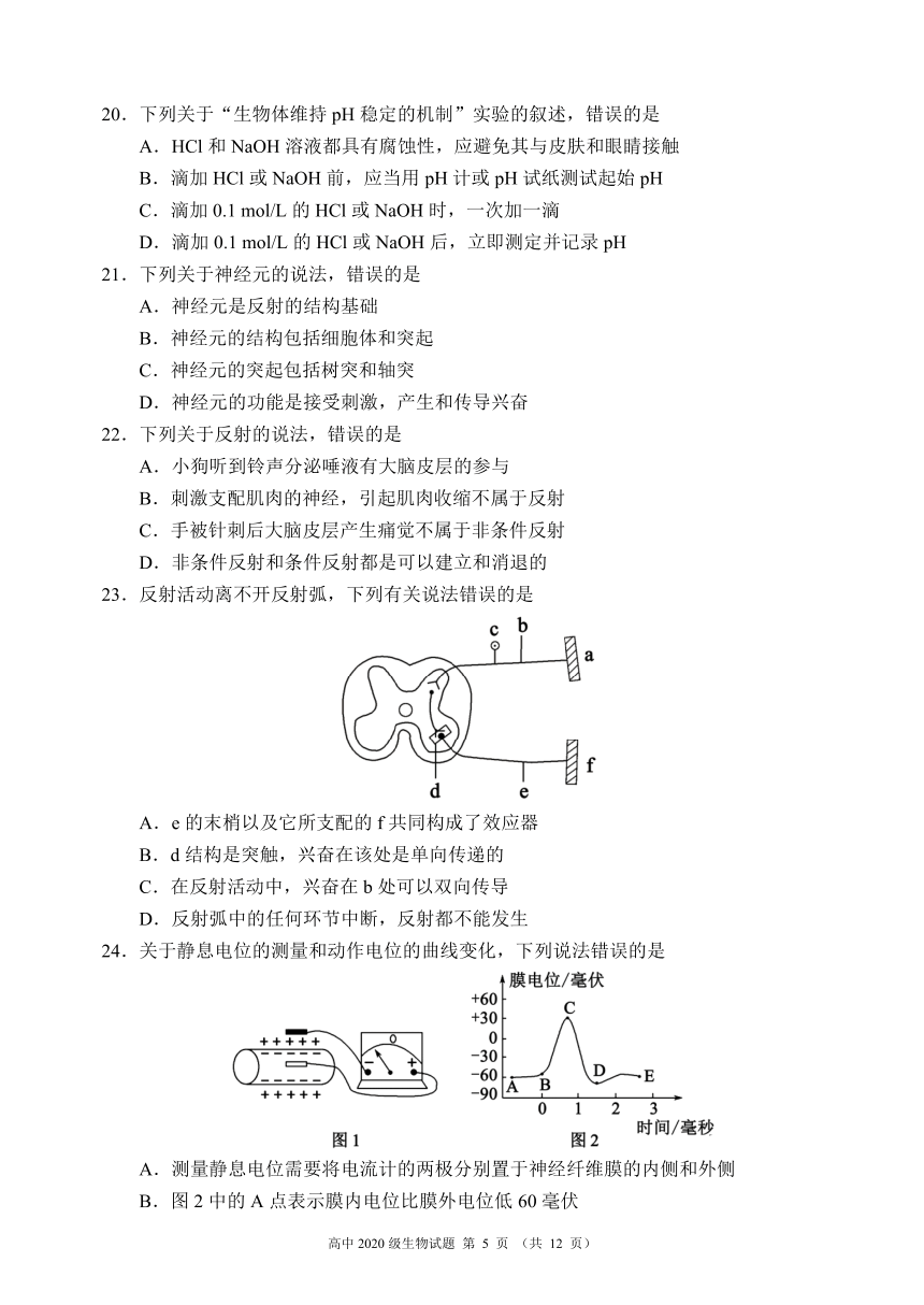 四川省蓉城名校联盟2021-2022学年高二上学期期中联考生物试题（PDF版含解析）