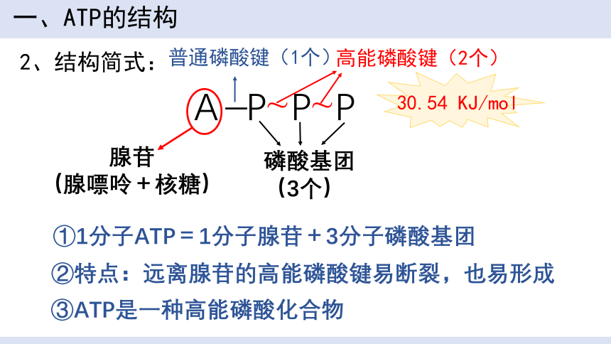 5.2 细胞的能量”货币“ATP 课件（18张ppt） 2022——2023学年高一上学期生物人教版（2019）必修1