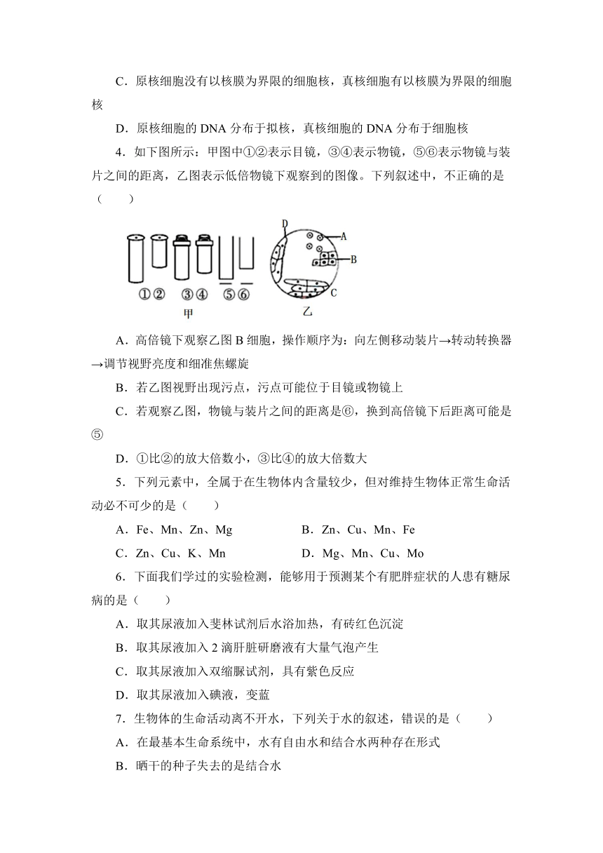 江苏省海安市南莫重点中学2021-2022学年高一上学期第一次月考备考金卷B卷生物试题（Word版含答案）