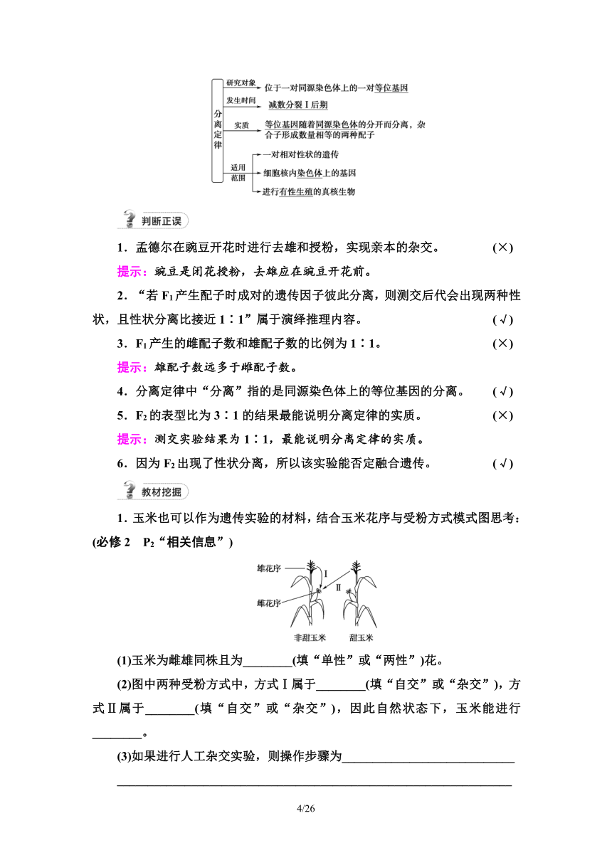 【备考2024】生物高考一轮复习学案：第14讲 孟德尔的豌豆杂交实验(一)(含答案）