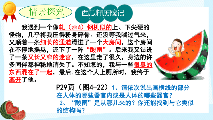 4.2.2 消化和吸收（一）课件 (共19张PPT)人教版生物七年级下册