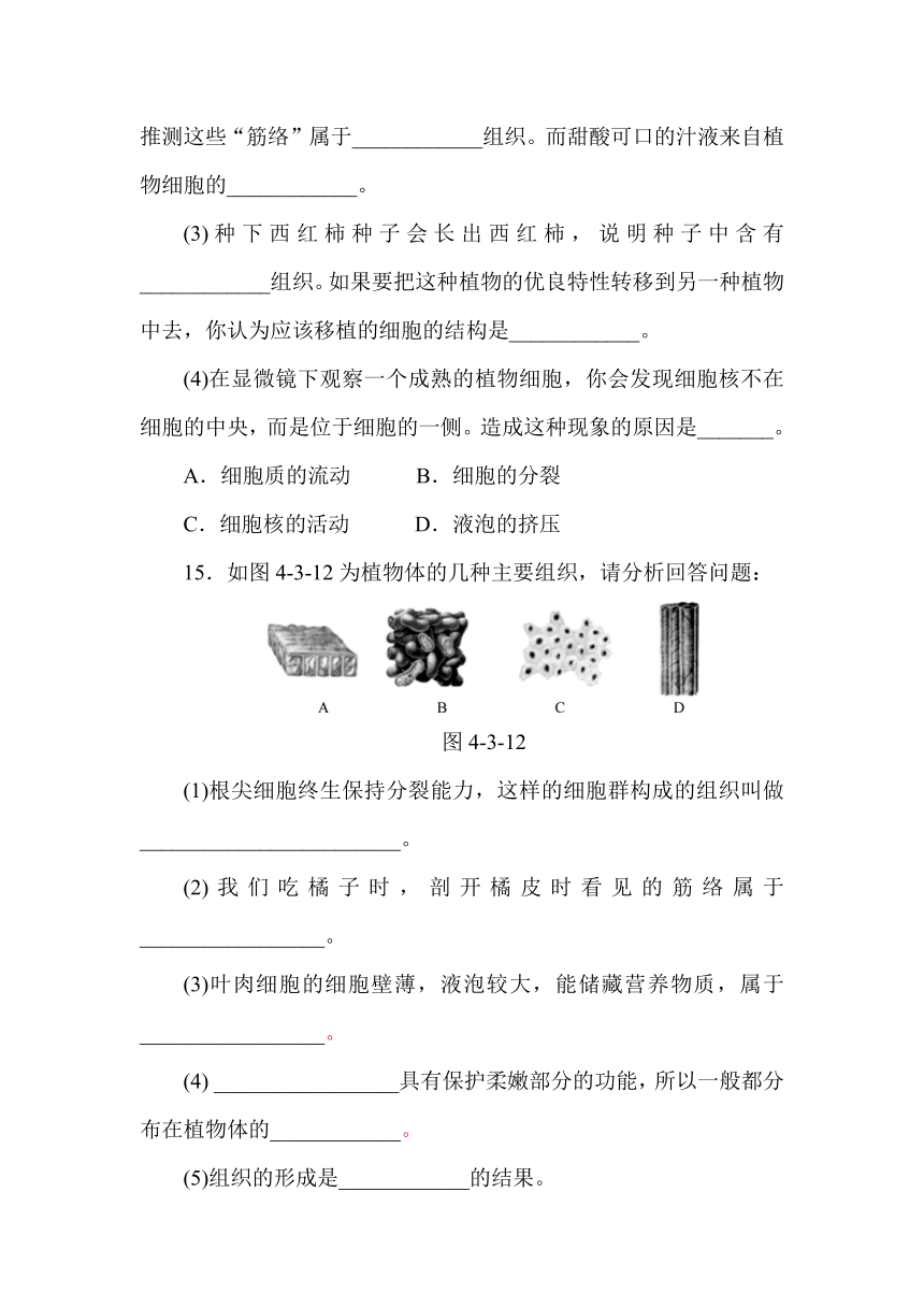 华东师大版科学 七年级上册 阶段性训练三（含答案）