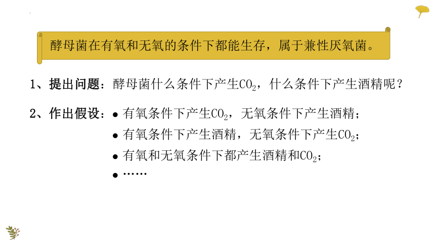 2022-2023学年高一上学期生物人教版（2019）必修1-5.3.1细胞呼吸的原理与应用课件（26张ppt）