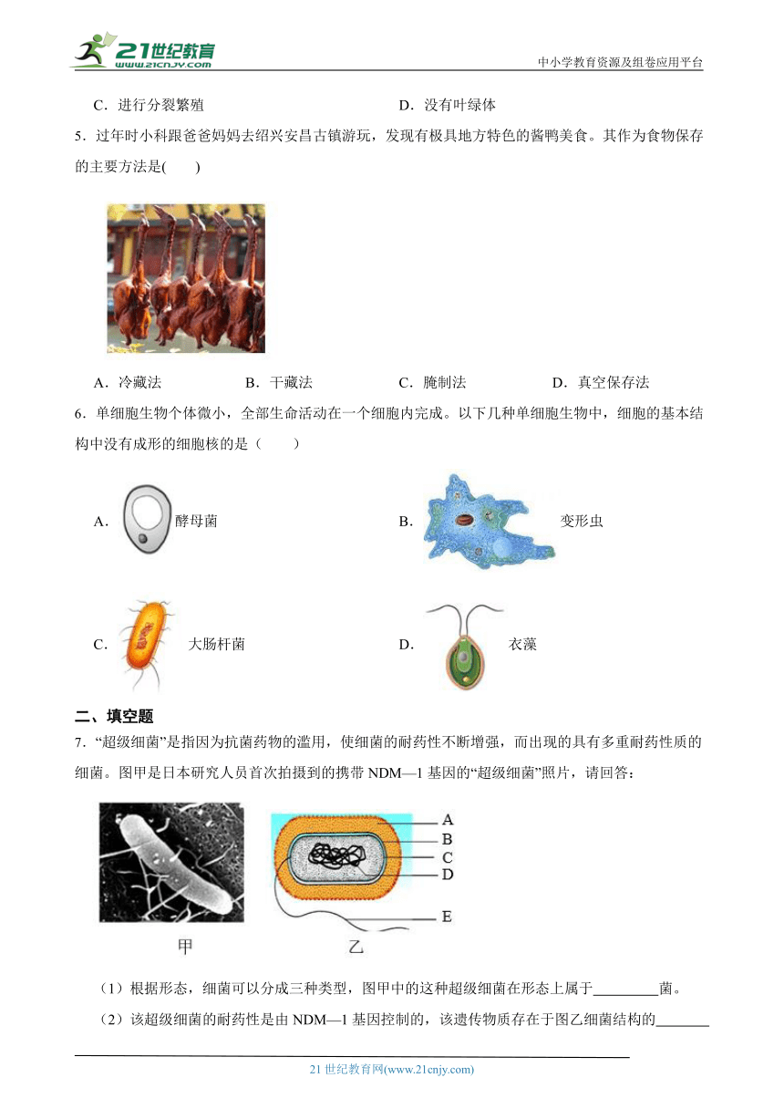 浙教版七下 1.6细菌和真菌的繁殖 随堂练习（含解析）