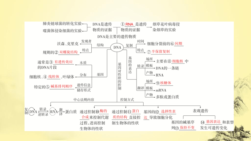 新人教生物二轮复习课件7 遗传的分子基础(课件共72张PPT)