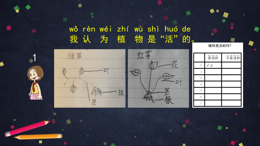 1.5 植物是“活”的吗 课件(35张ppt)