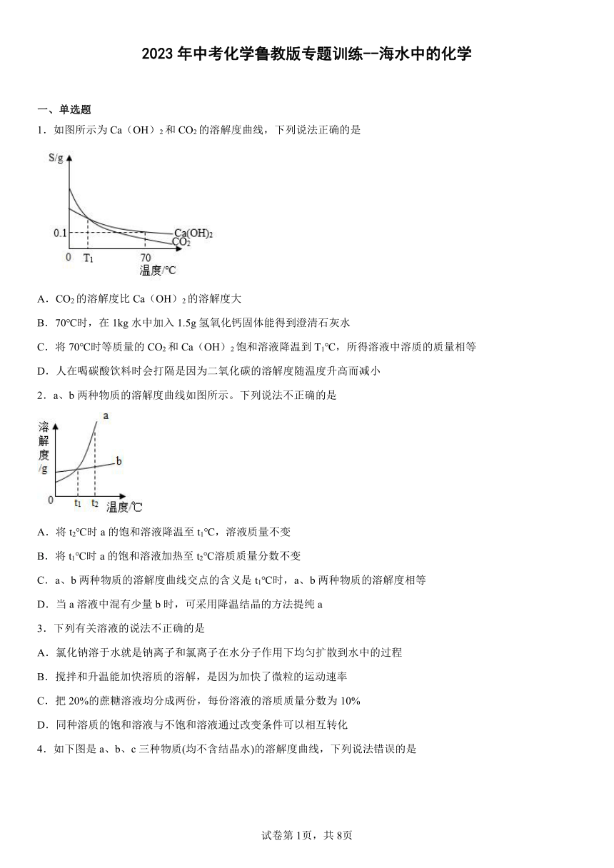 2023年中考化学鲁教版专题训练--海水中的化学(含答案)